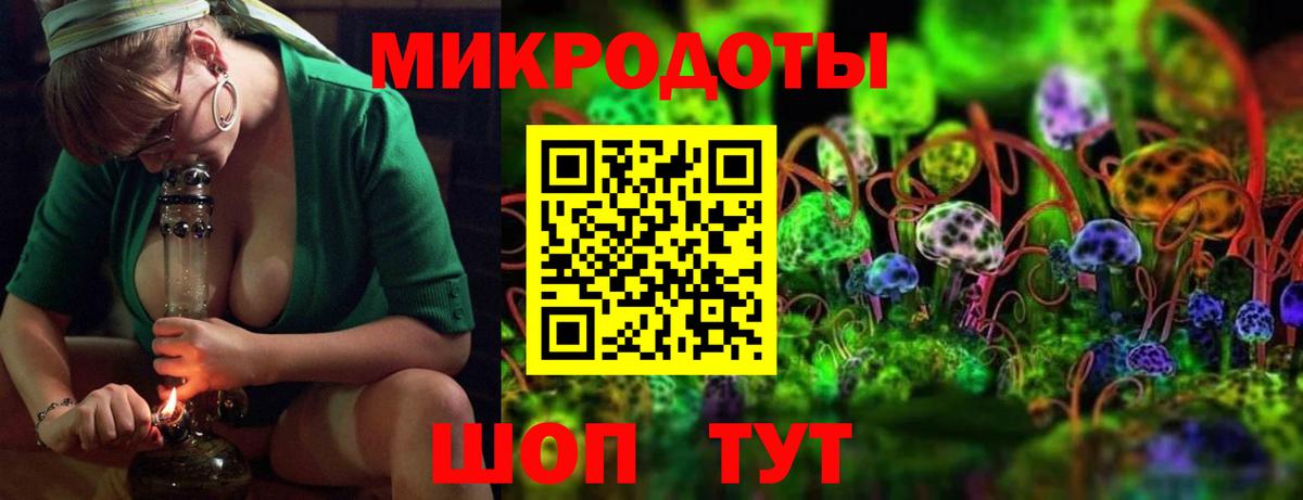 Псилоцибиновые грибы мицелий Черкесск